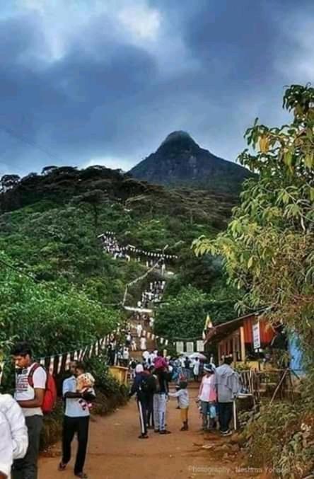 Bed and Breakfast Lily Adam'S Peak Nallathanniya Exterior foto
